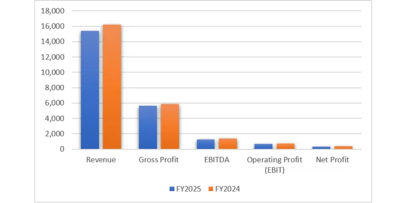 Financial Performance Analysis